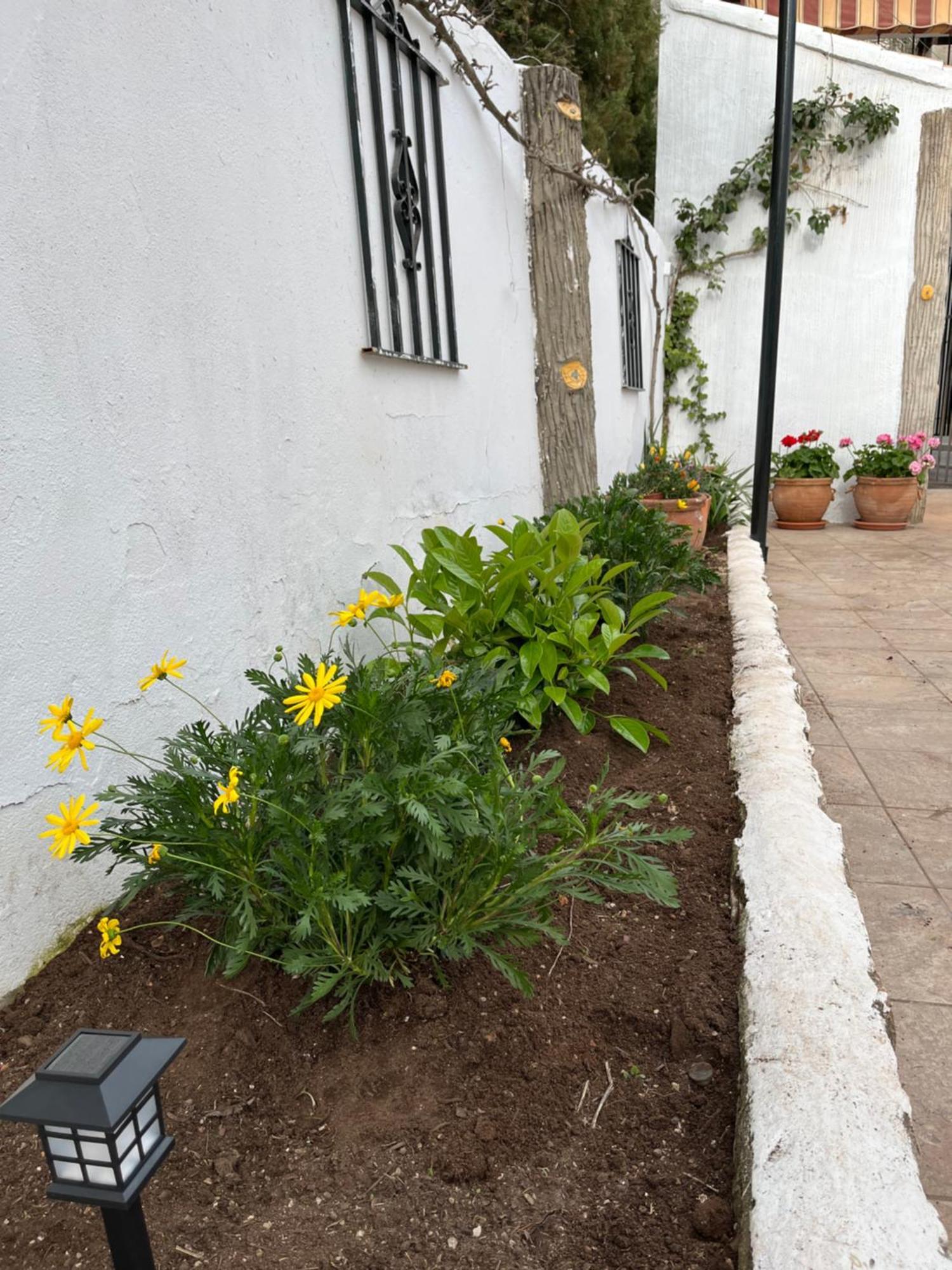 Casa Rural Abuelo Raimundo أوسا دي مونتيل المظهر الخارجي الصورة